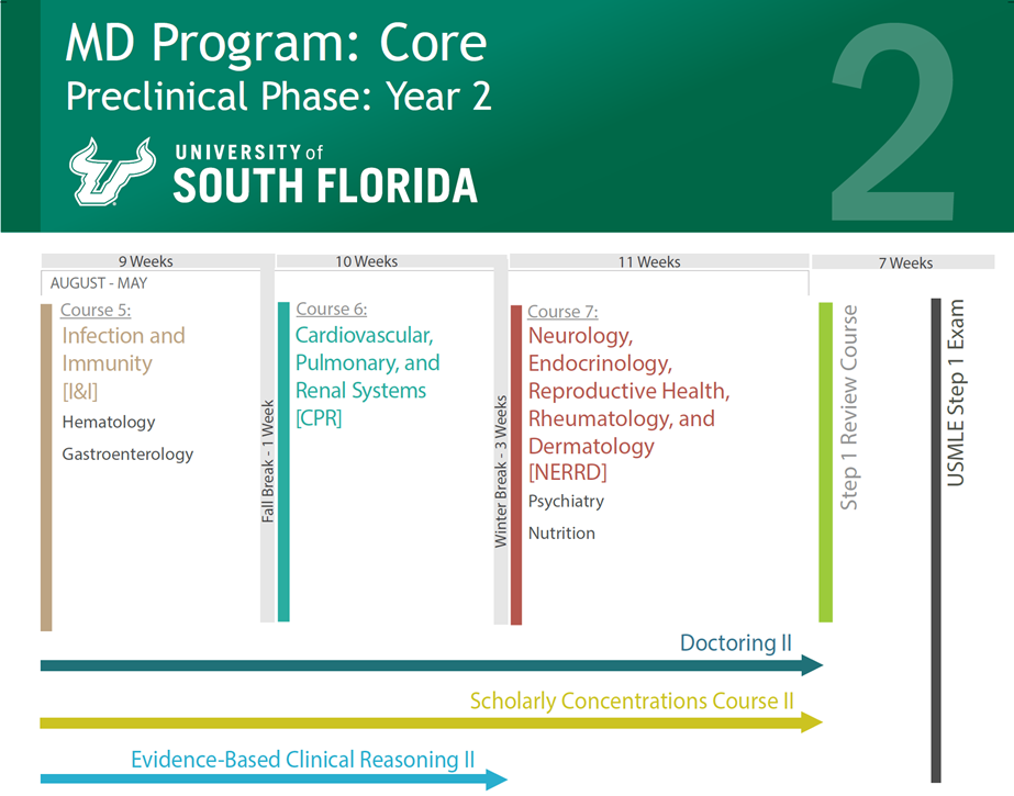 Year Two Core Curriculum Map