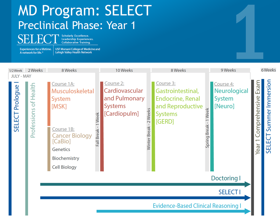 Year One SELECT Curriculum Map