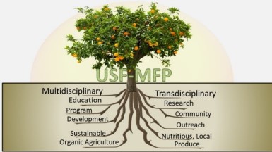 USF Metropolitan Food Project