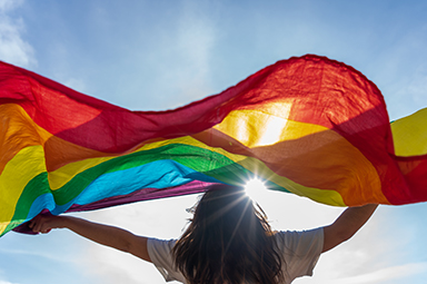 person holding a rainbow flag up to the sun