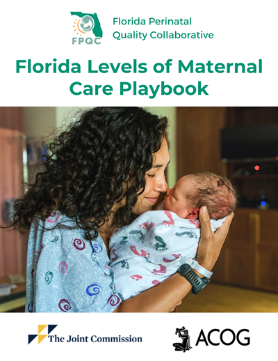 Cover of Playbook where caregiver is holding infant in their hands and rubbing noses with them. 