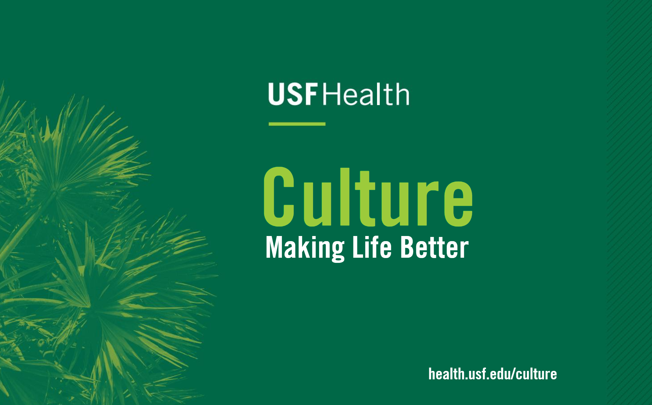 USF Health Culture Campaign - Image Reads: USF Health Culture, Making Life Better, visit health.usf.edu/culture