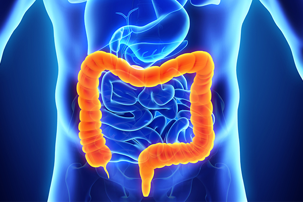 Colorectal Surgery | USF Health