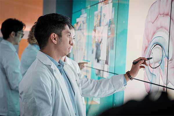 USF Health representative in a white coat drawling on a large touch screen with an image of a brain