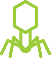 allergy immunology and infectious diseases icon - virus icon