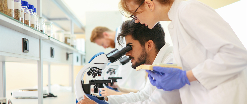physicians observing samples with microscope