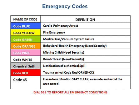 Security & Safety | USF Health