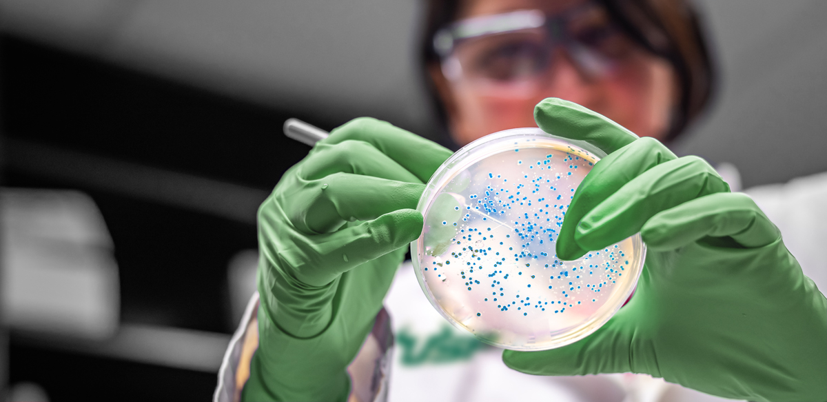 USF Initiative on Microbiomes | USF Health