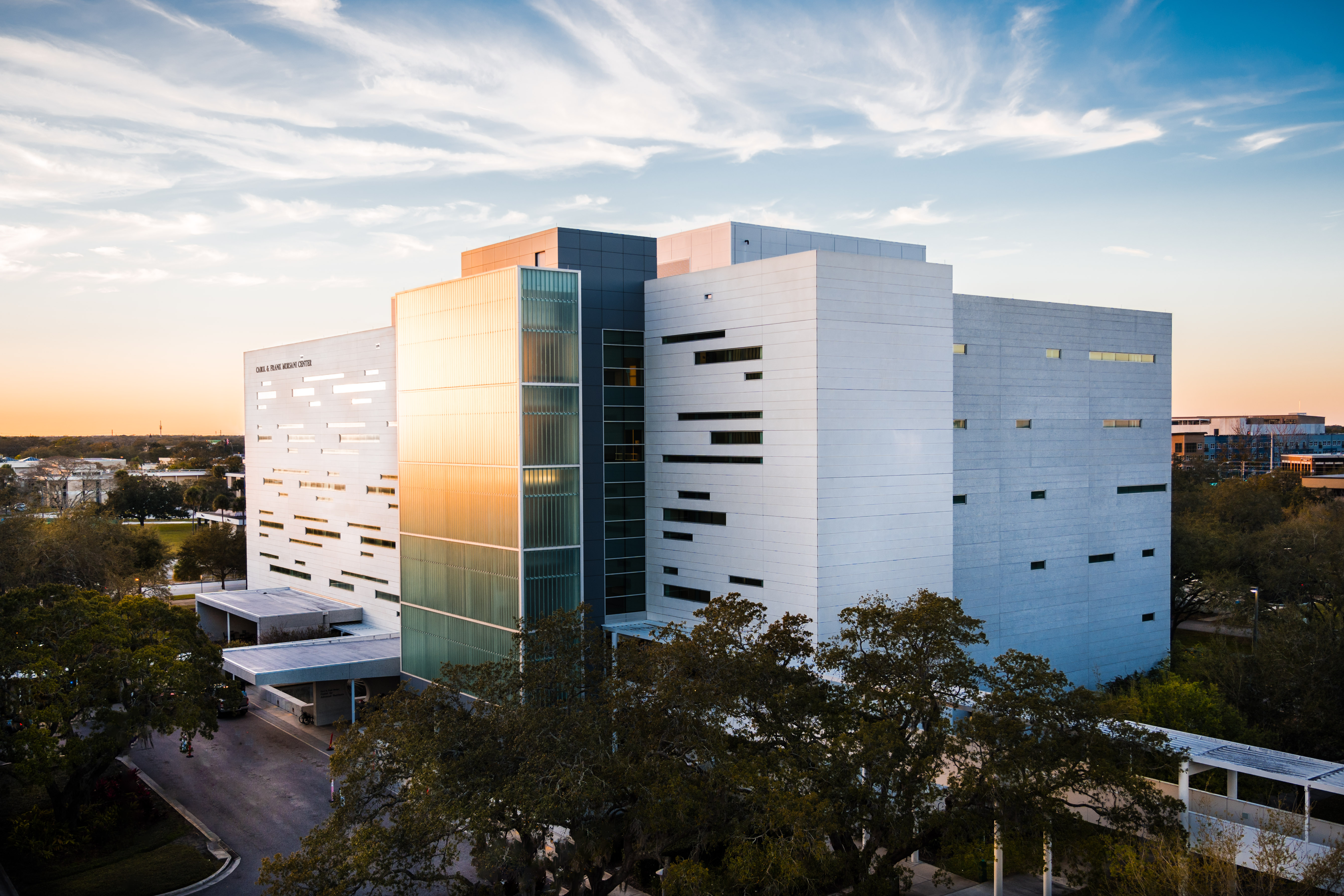 Image of the Morsani Center for Advanced Healthcare