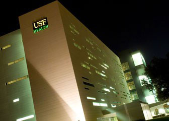 Contact Us | USF Health