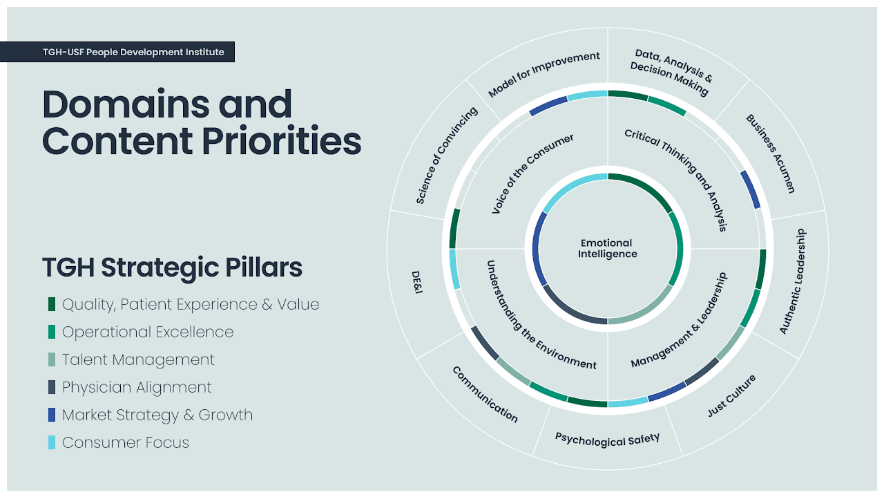 Domains and content priorities graphic.