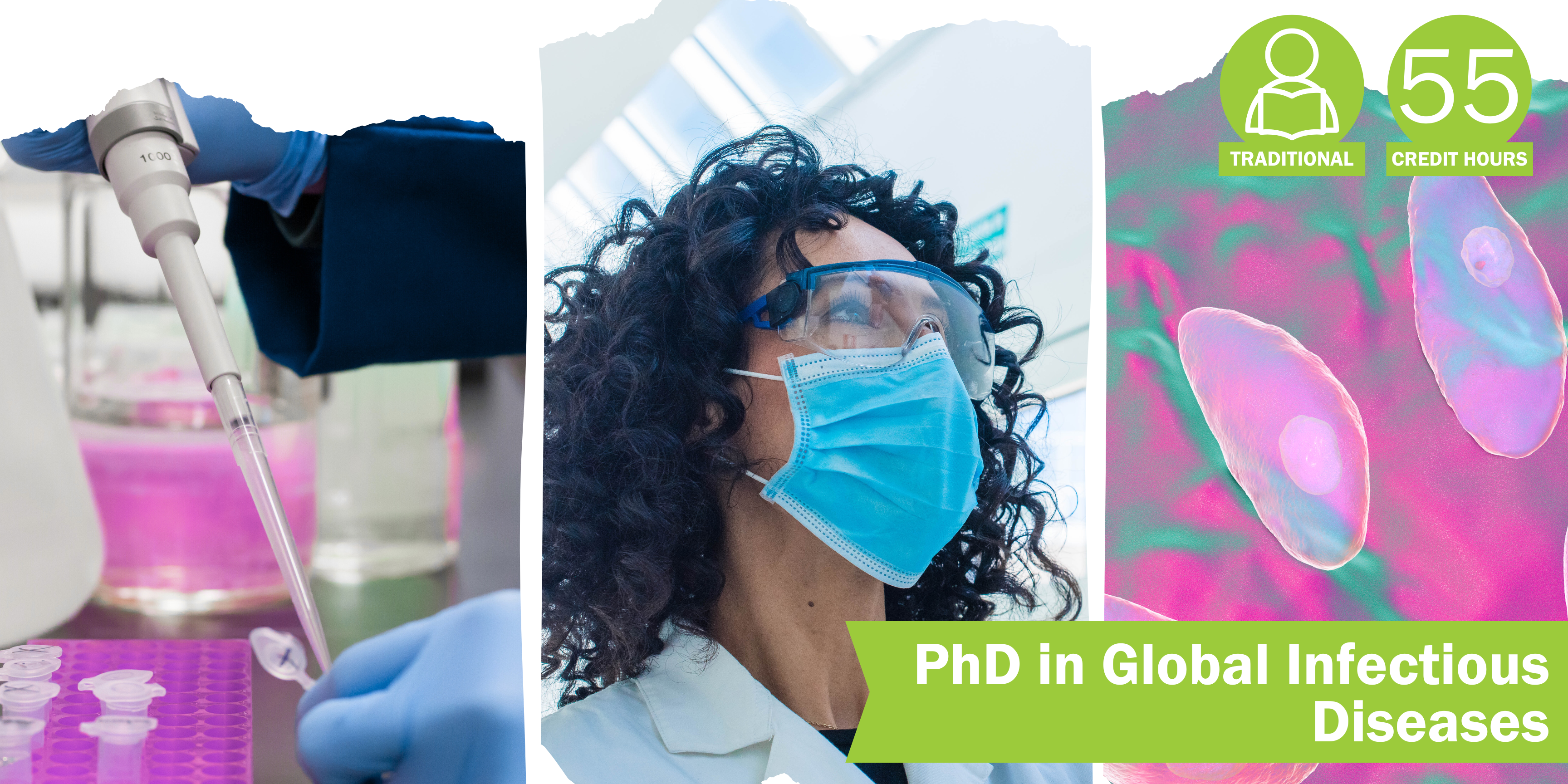 A collage of three decorative images depicting global infectious diseases with the title “PhD in Global Infectious Diseases” and text “Traditional” course format and “55 credit hours".