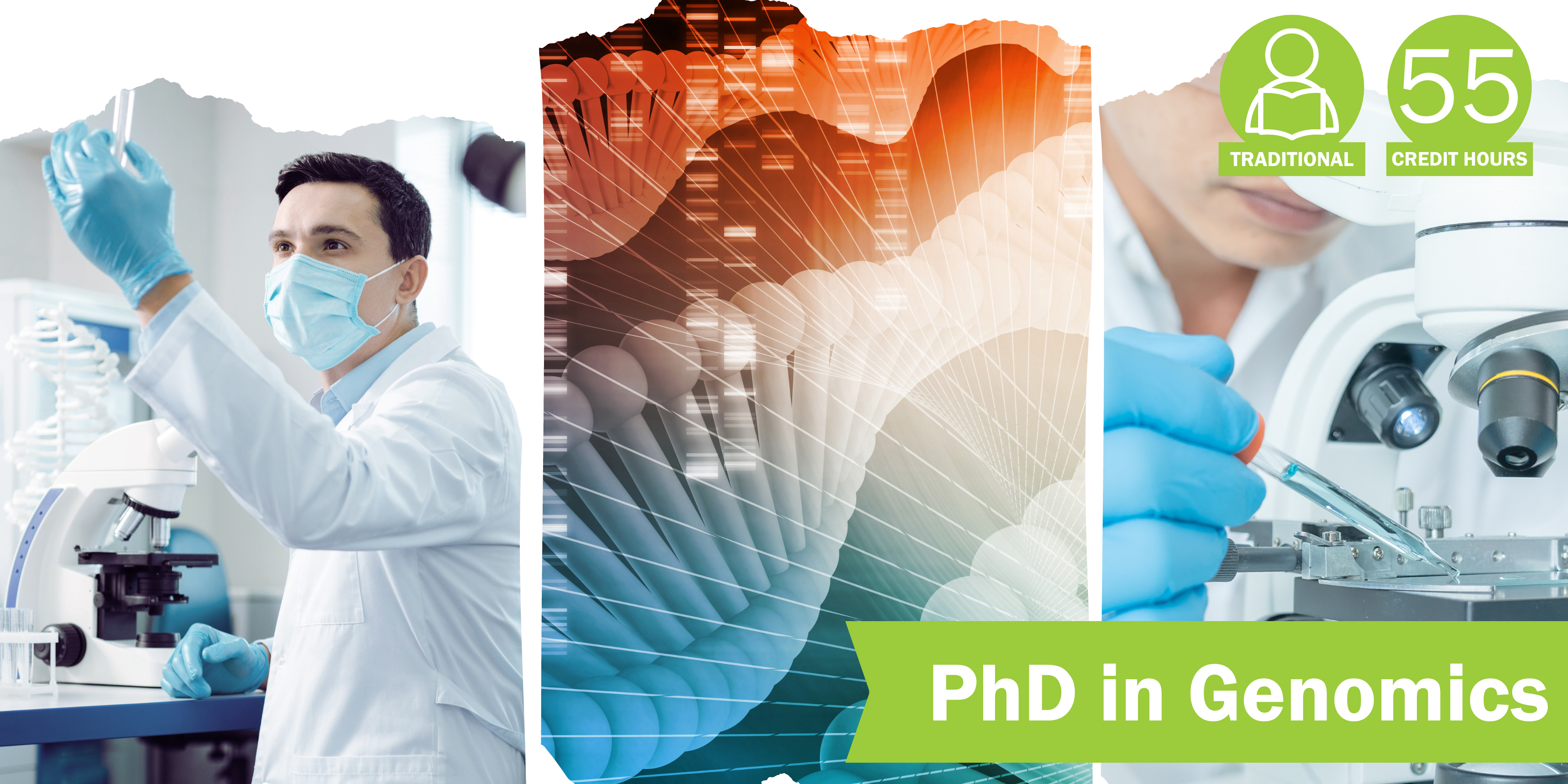 PhD in Genomics - 55 credit hours, traditional course format