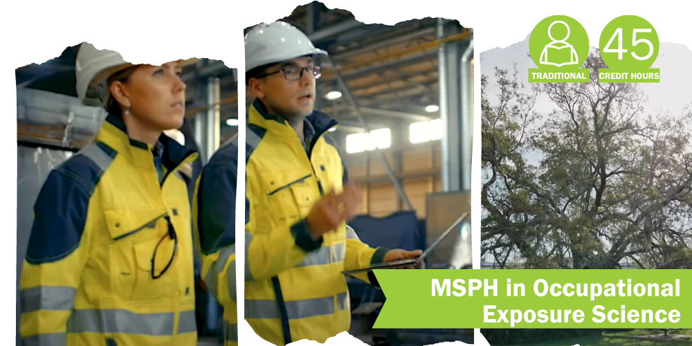 MSPH in Occupational Exposure Science at USF's College of Public Health