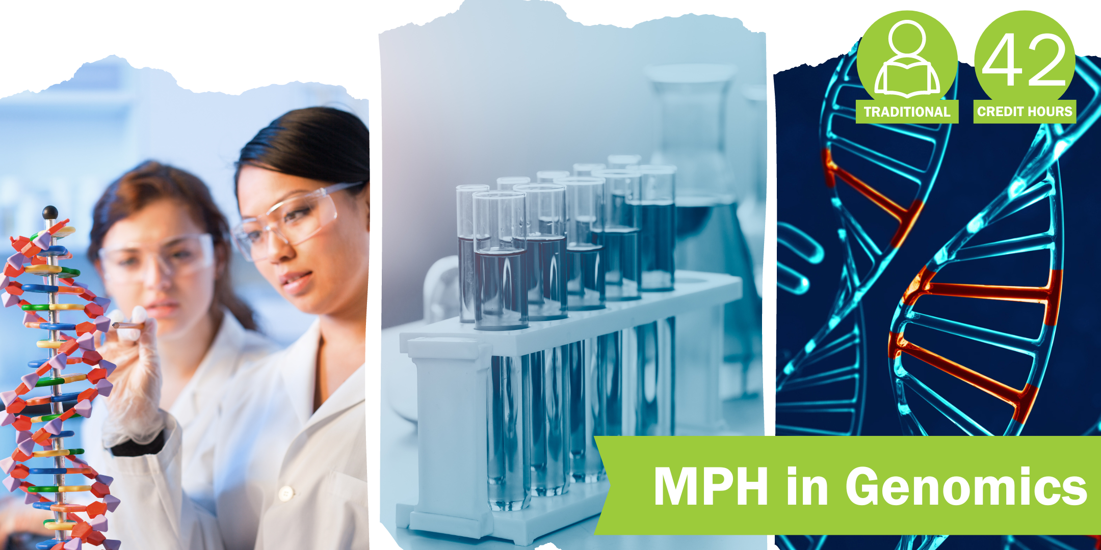 MPH in Genomics; 42 credit hours; traditional learning format
