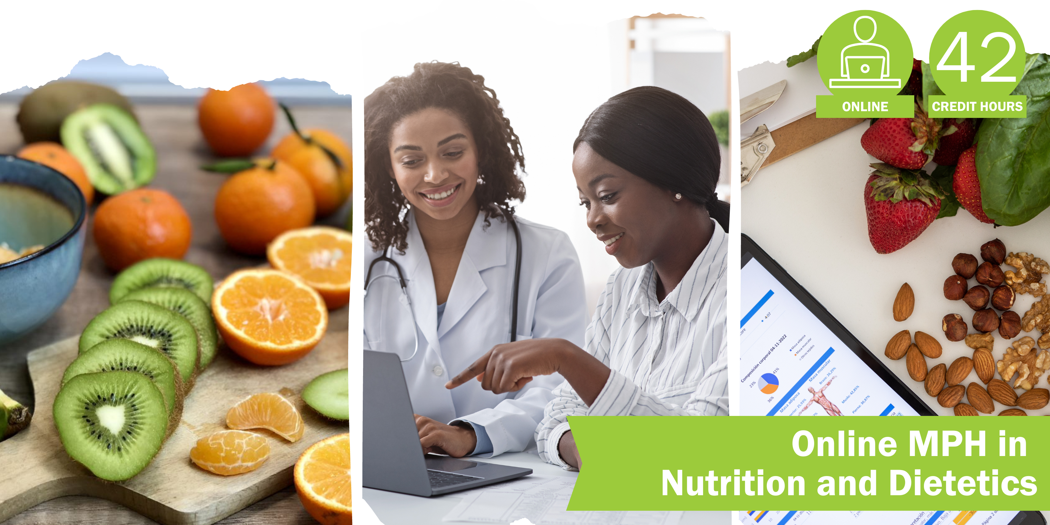 Online MPH in Nutrition & Dietetics Banner