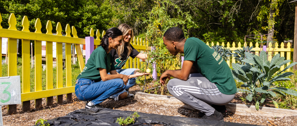 Students participating in community engagement