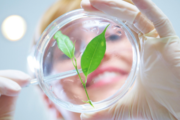 A person in a lab coat smiling and holding up a plant in a petri dish.