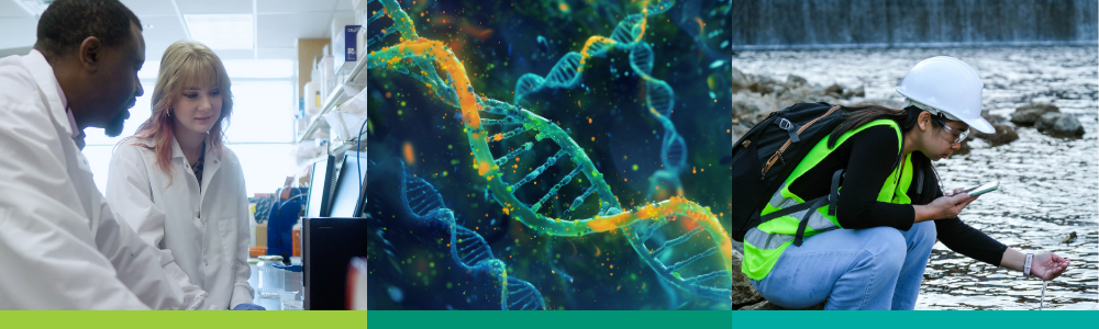 A collage of three images show students and faculty conducting research in various settings, as well as a visualization of a genetic DNA strand.