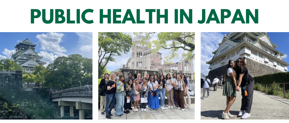 Public Health in Japan