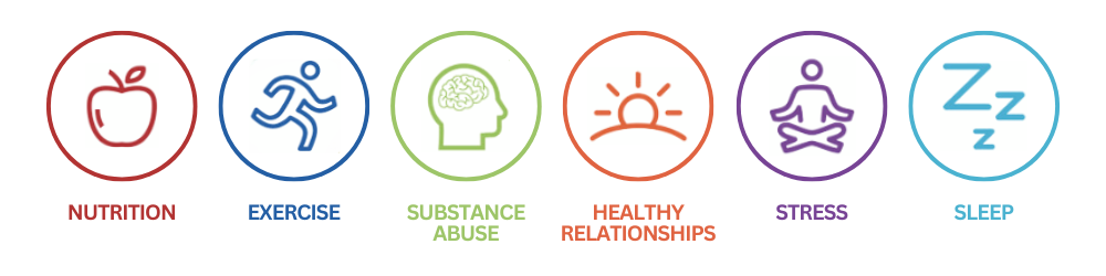 A graphic with colorful symbols and the words nutrition, exercise, substance abuse, healthy relationships, stress, and sleep.