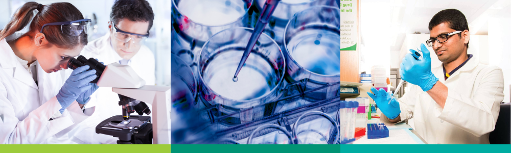 A collage of three images depicting students conducting research in labs