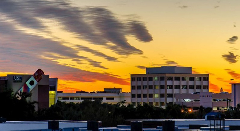 USF Health Rothman Institute at Bayfront Medical Plaza