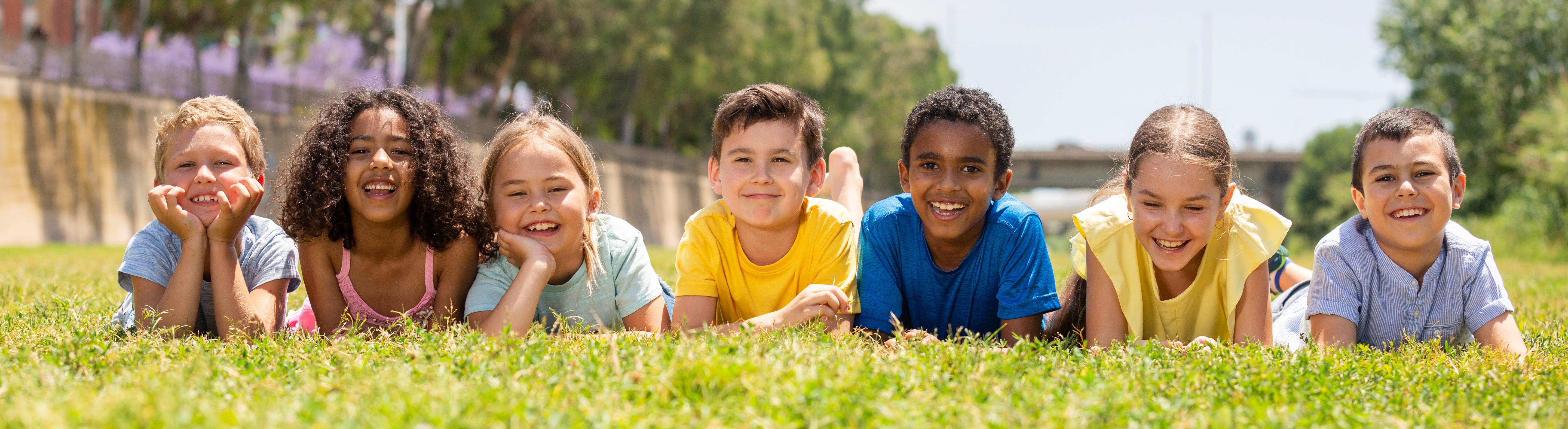 seven children lying in the grass