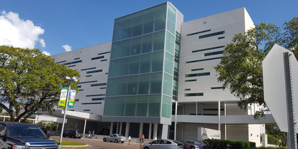 13330 USF Laurel Dr. Tampa