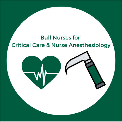 Bull Nurses for Critical Care & Nurse Anesthesiology