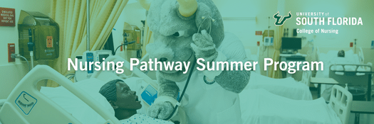 Nursing Pathway Summer Program
