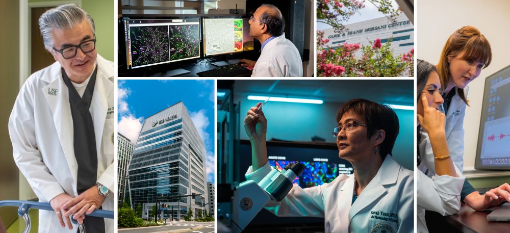 Collage of USF Health faculty and facilities