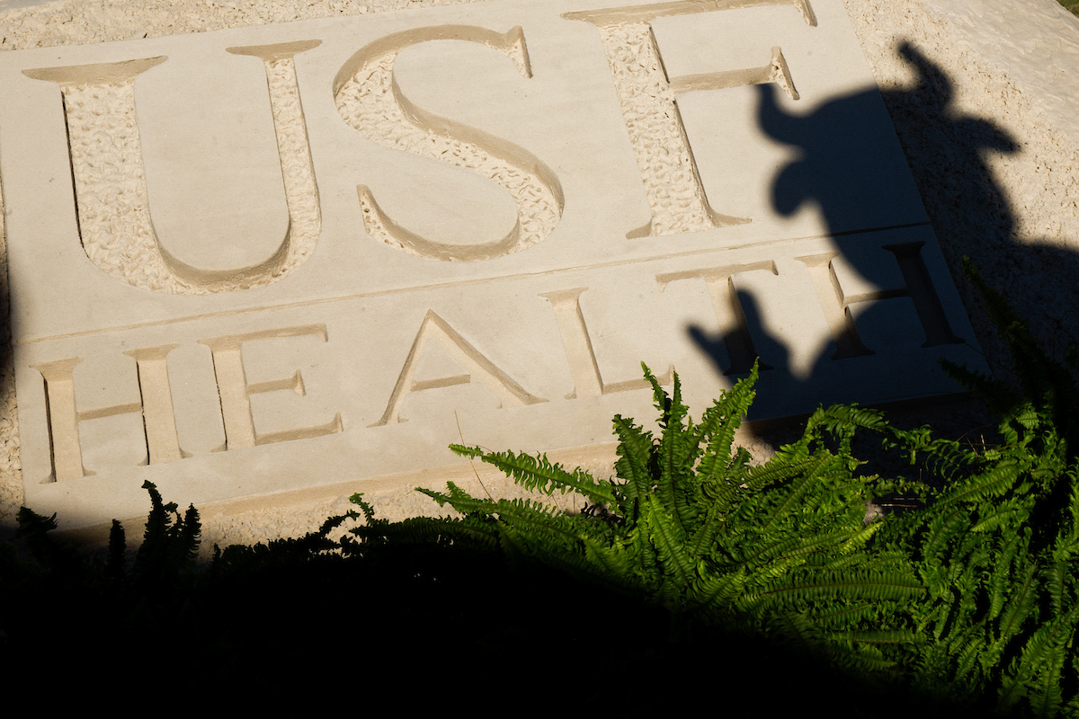 Rocky the Bull shadow over USF Health sign