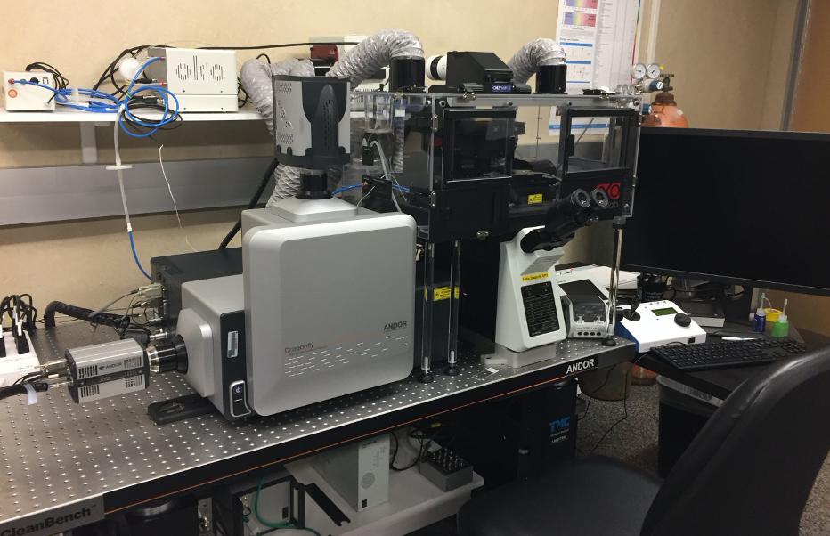 Andor Dragonfly Spinning Disk Confocal Microscope