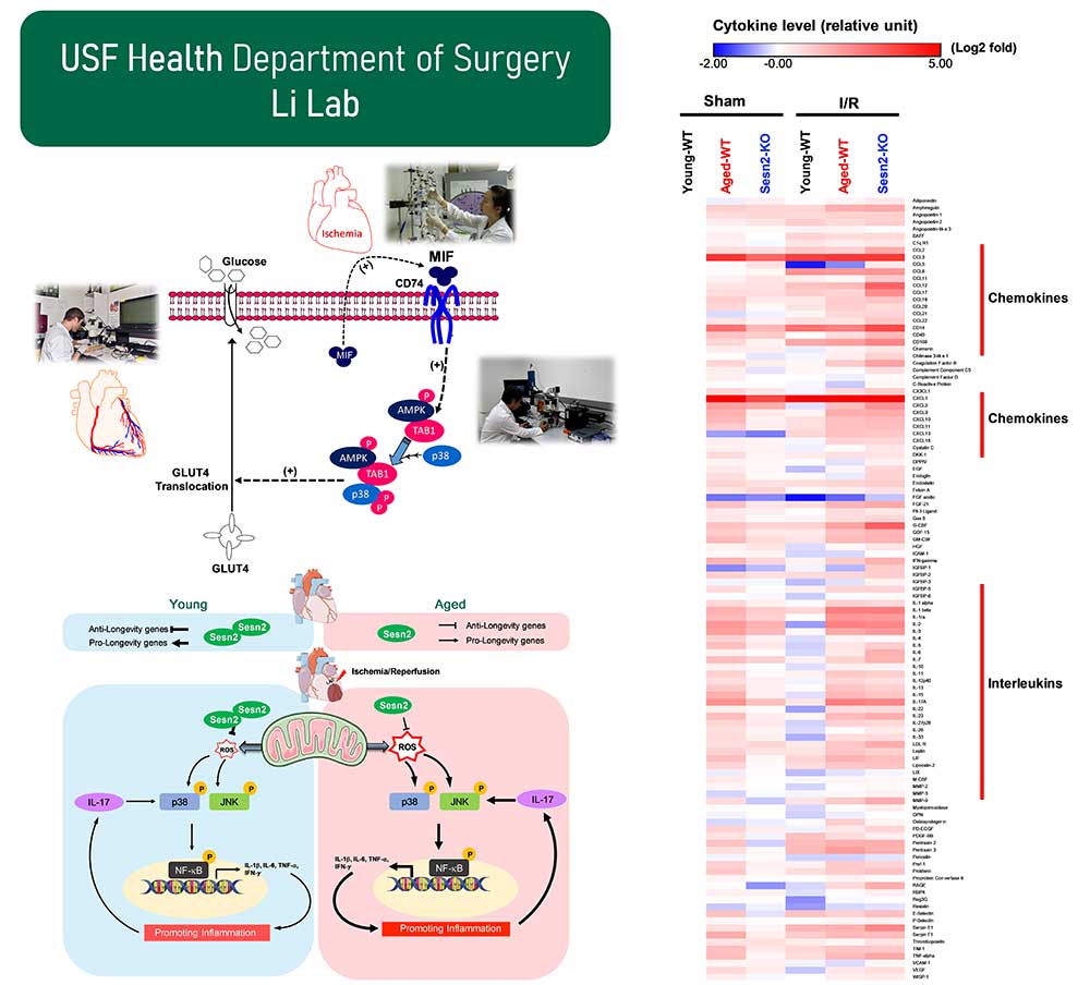 Ji Li Lab funding