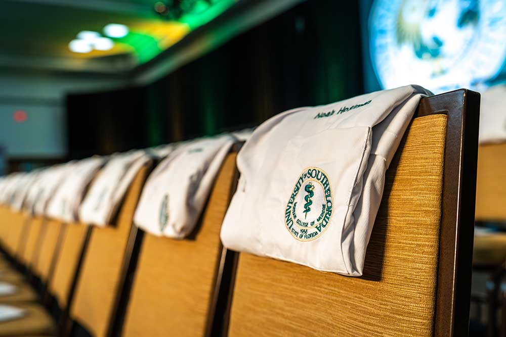 Series of Morsani College of Medicine white coats folded across the back of wooden chairs