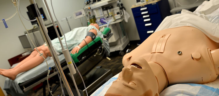 manikin experiences to all learners within the USFHSC Program