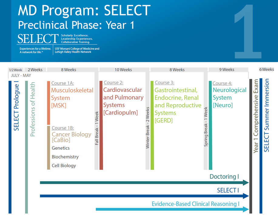 SELECT MD Curriculum Map Year 1