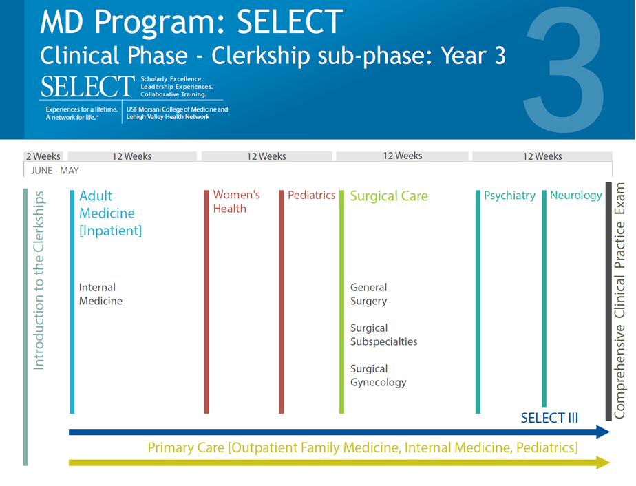 SELECT MD Curriculum Map Year 3