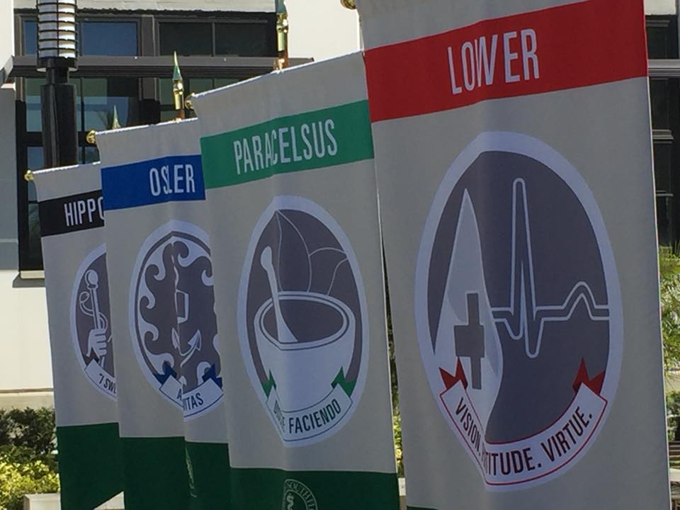 flags of the Collegia Program at the USF Health Morsani College of Medicine