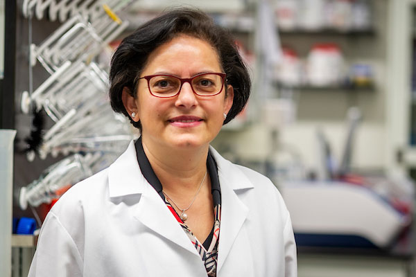 Hana Totary-Jain, PhD, associate professor of Molecular Pharmacology and Physiology and Heart Institute at the USF Health Morsani College of Medicine