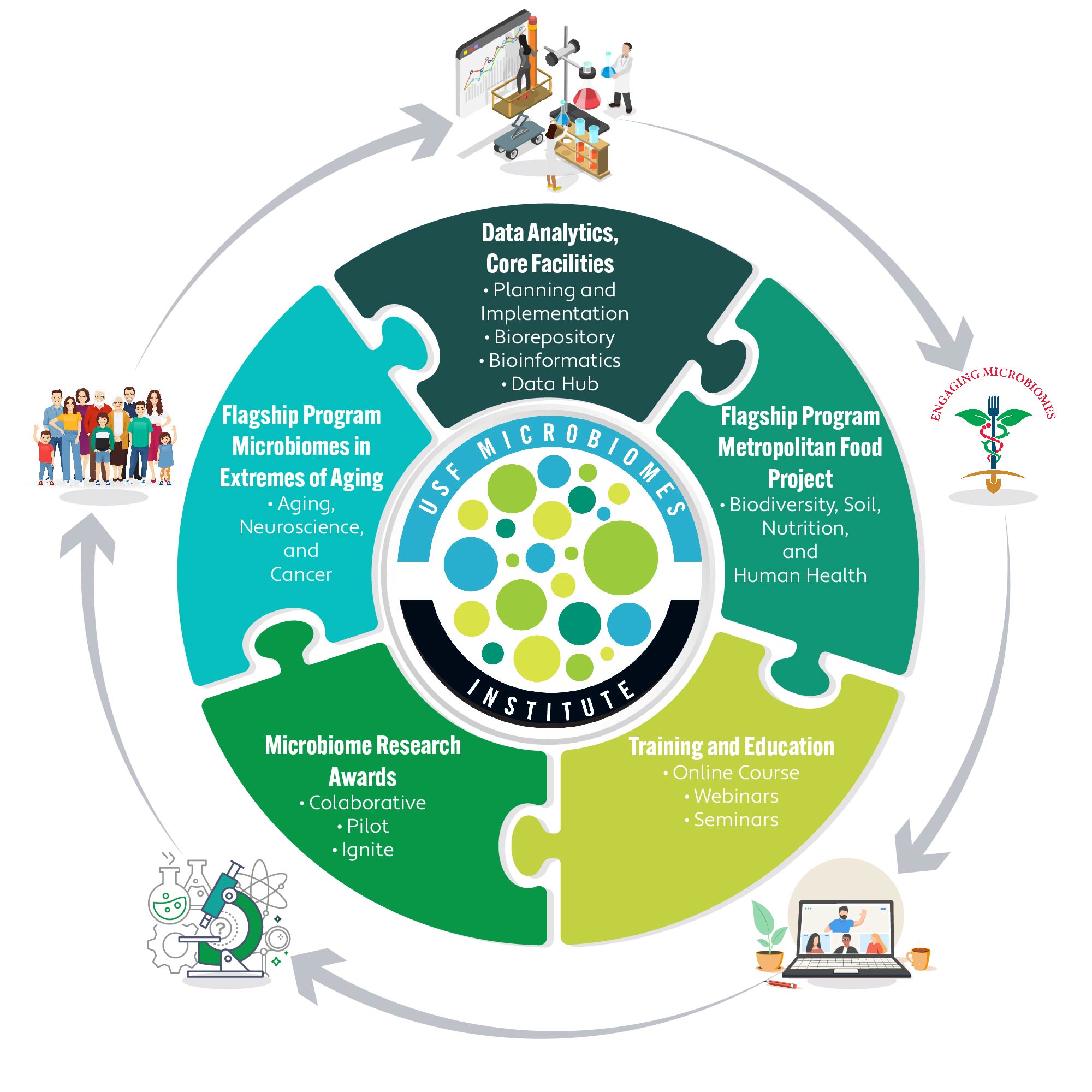 The image represents a circular infographic detailing the key areas of focus for the USF Microbiomes Institute. The design is structured like a puzzle, with interconnected segments illustrating different aspects of the institute’s work.  Key Areas: 1. Data Analytics, Core Facilities    - Planning and Implementation      - Biorepository      - Bioinformatics      - Data Hub    2. Flagship Program: Metropolitan Food Project    - Biodiversity, Soil, Nutrition, and Human Health    3. Training and Education      - Online Courses      - Webinars      - Seminars    4. Microbiome Research Awards    - Collaborative      - Pilot      - Ignite    5. Flagship Program: Microbiomes in Extremes of Aging    - Aging, Neuroscience, and Cancer    Visual Elements: - The circular arrangement conveys integration among these areas.   - Icons and images represent different themes: research, education, health, and innovation.   - Arrows suggest a continuous and dynamic process of research, education, and application.    This diagram likely serves as an overview of the institute’s strategic priorities, emphasizing interdisciplinary collaboration, research funding, education, and data-driven microbiome studies.