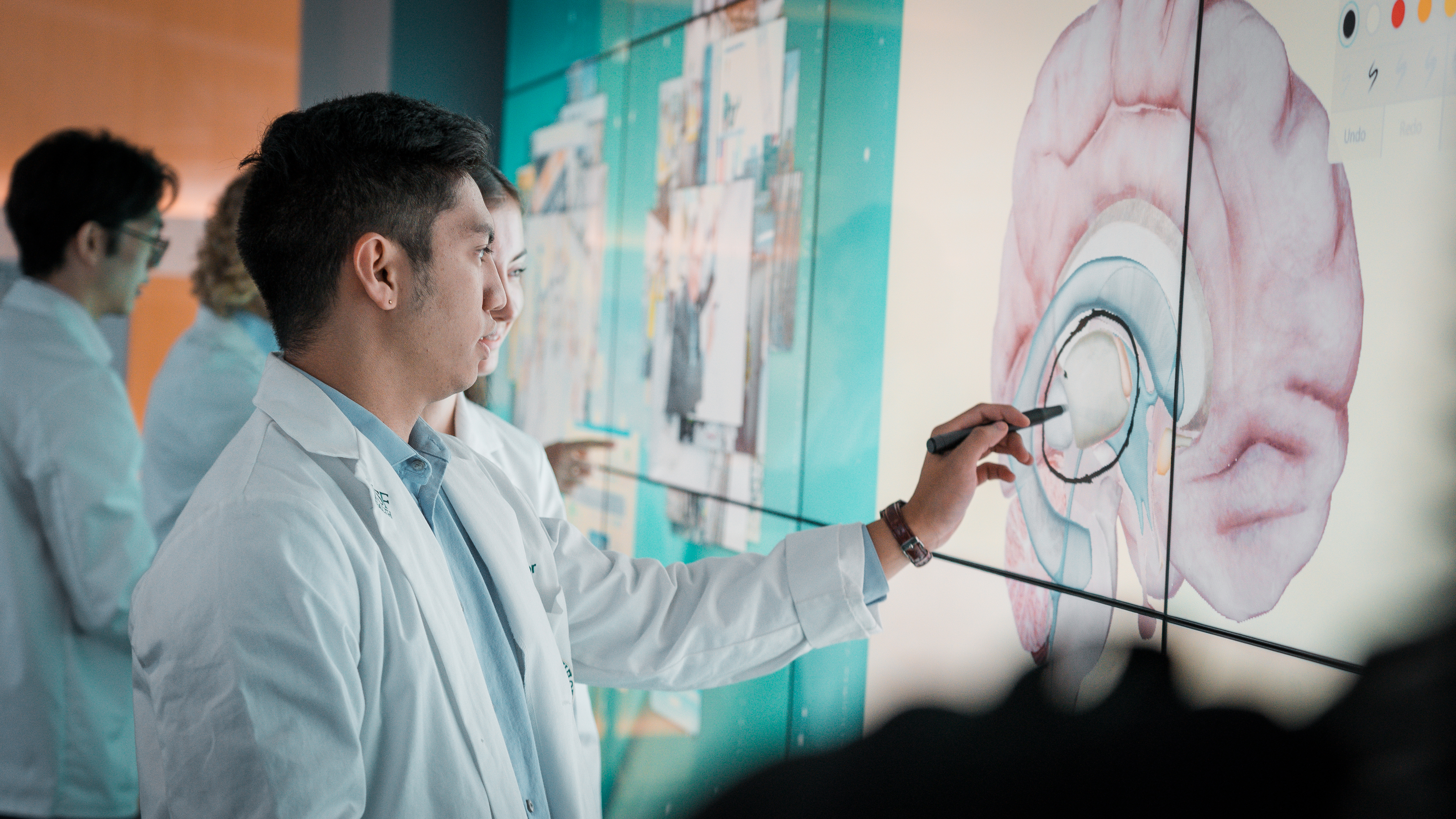 USF Health Fellow / Resident in white coat write on a white board with image of the brain