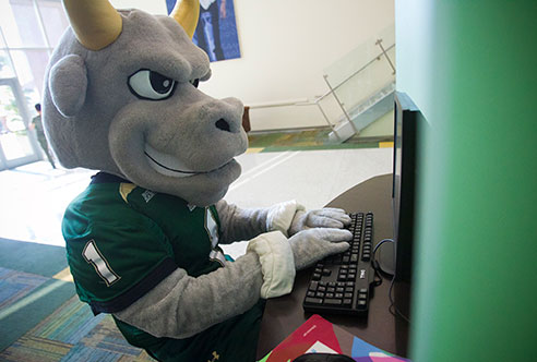 Orthopaedics Post Professional