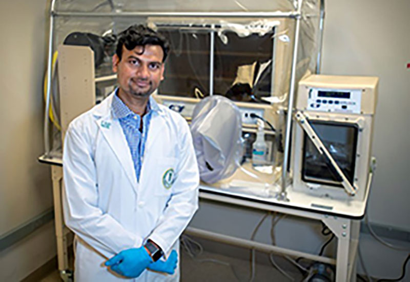 State Grant Advances USF Health Research on how Diet-related Changes in Gut and Oral microbiomes Affect the Aging Brain