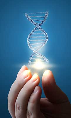 DNA in hand on blue background