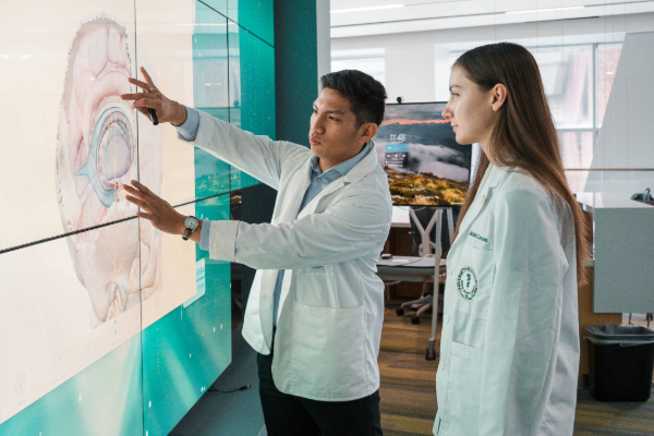 Two residents in lab coats examine a digital brain diagram on a large screen in a modern office.