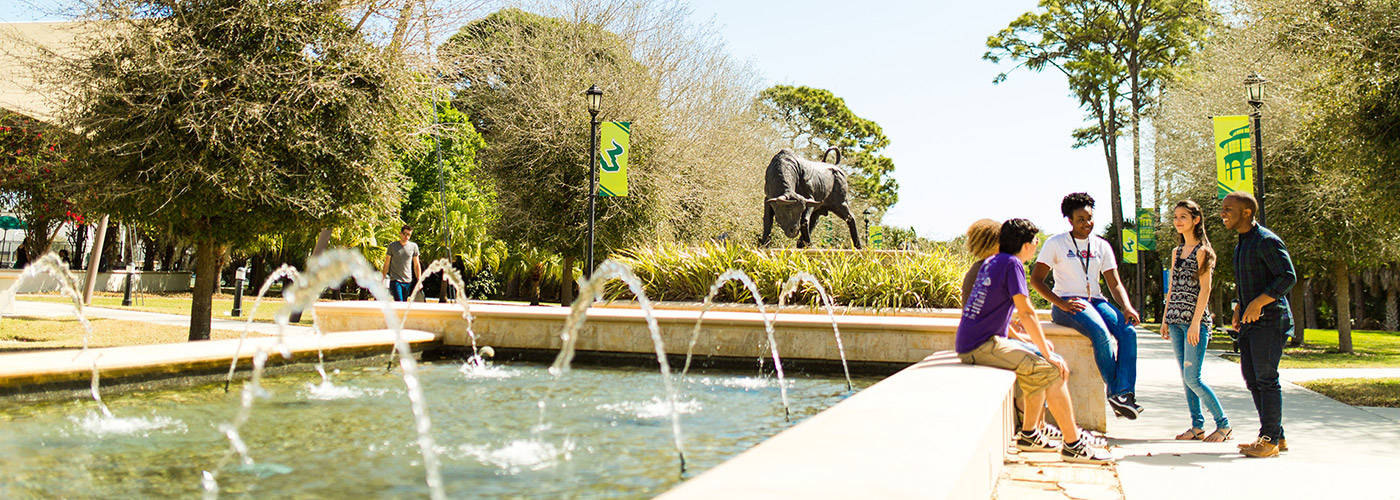 College students talking by USF Bull statue and fountain