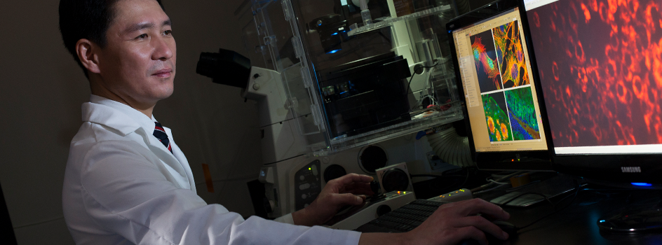 USF Health brain researcher photo