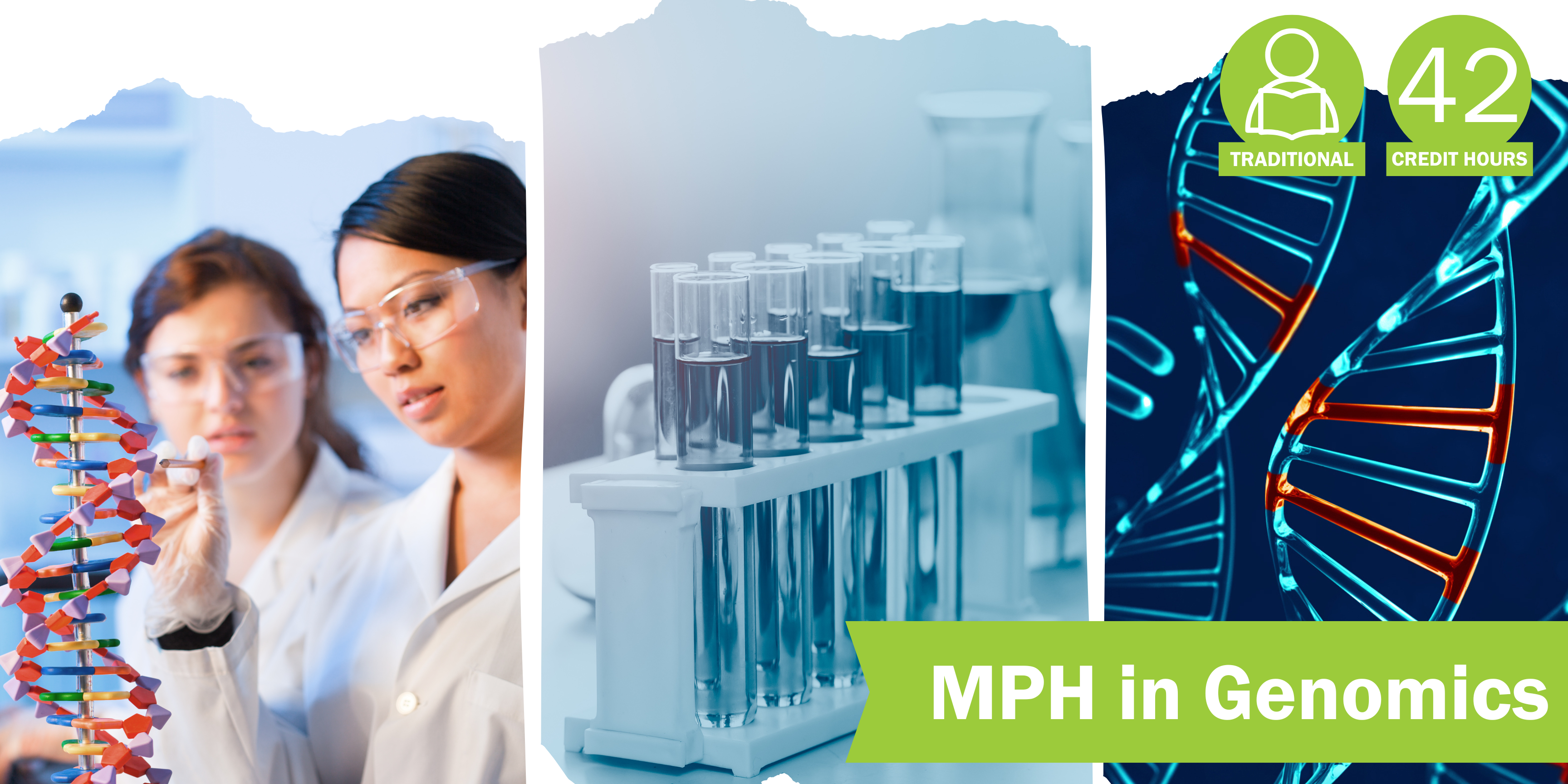 A collage of three decorative images depicting genomics with the title "MPH in Genomics” and text "Traditional" course format and "42 credit hours".